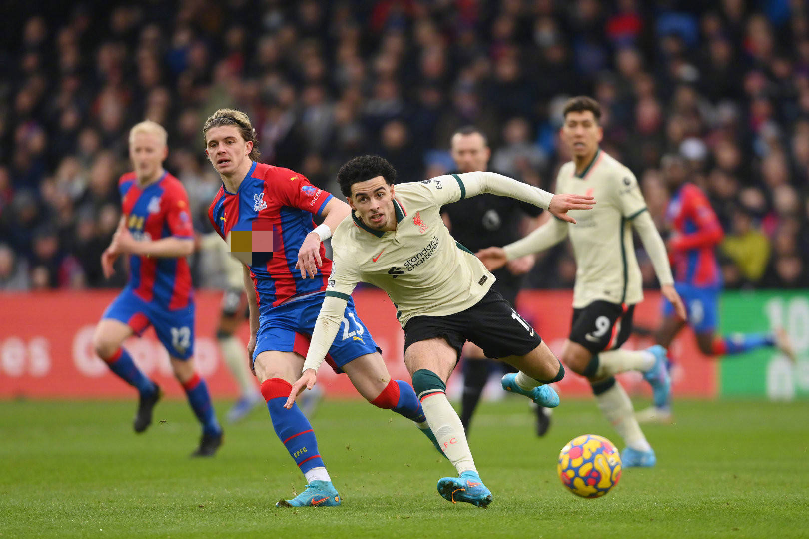 主帅可在训 主帅可在训